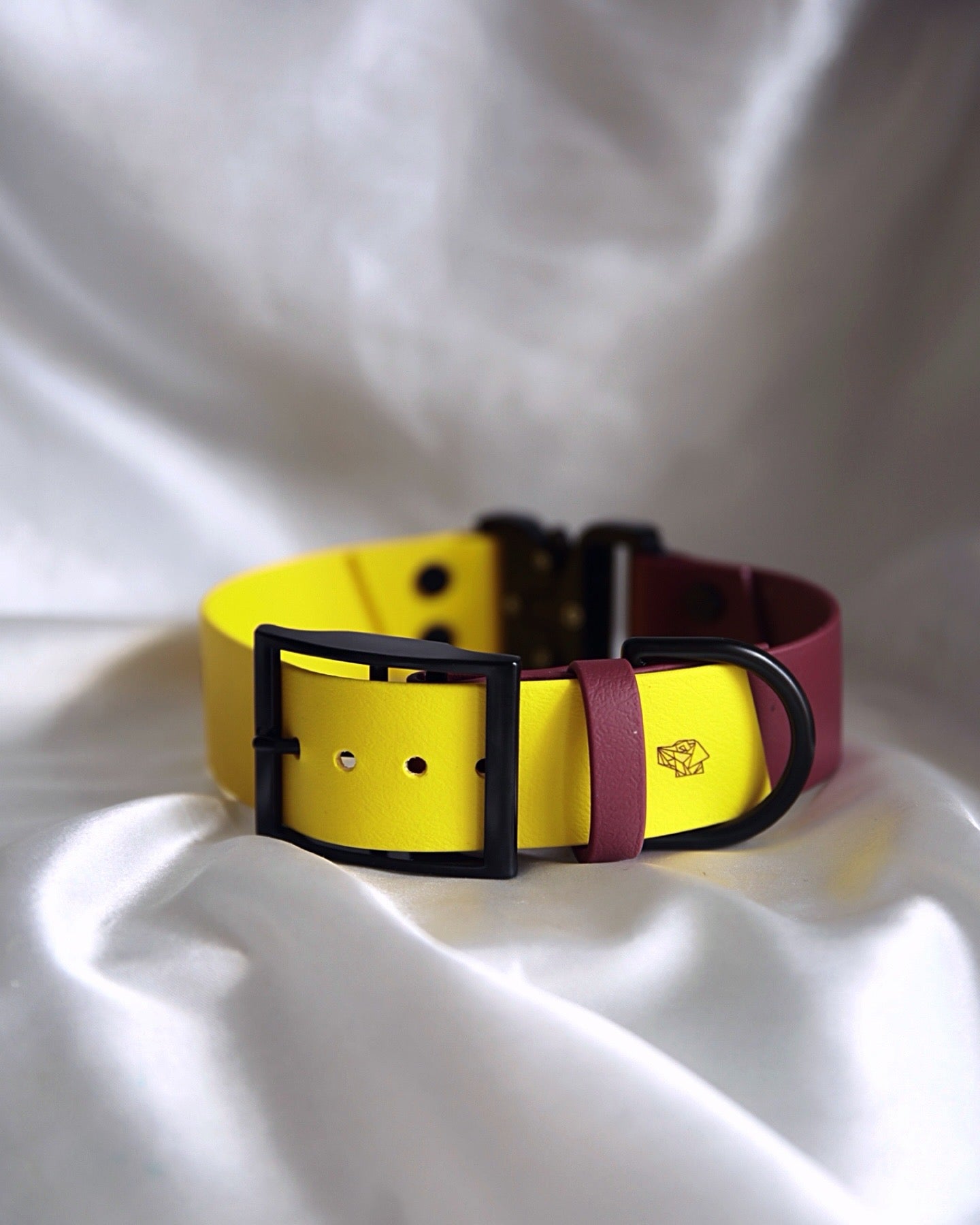 DUEL Collar 38mm